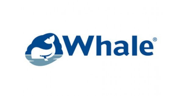 WHALE